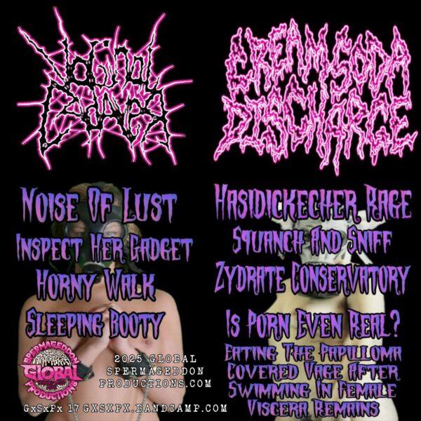 Vaginal Cadaver / CreamSodaDischarge - Pornogrindz Finests Flicks back cover