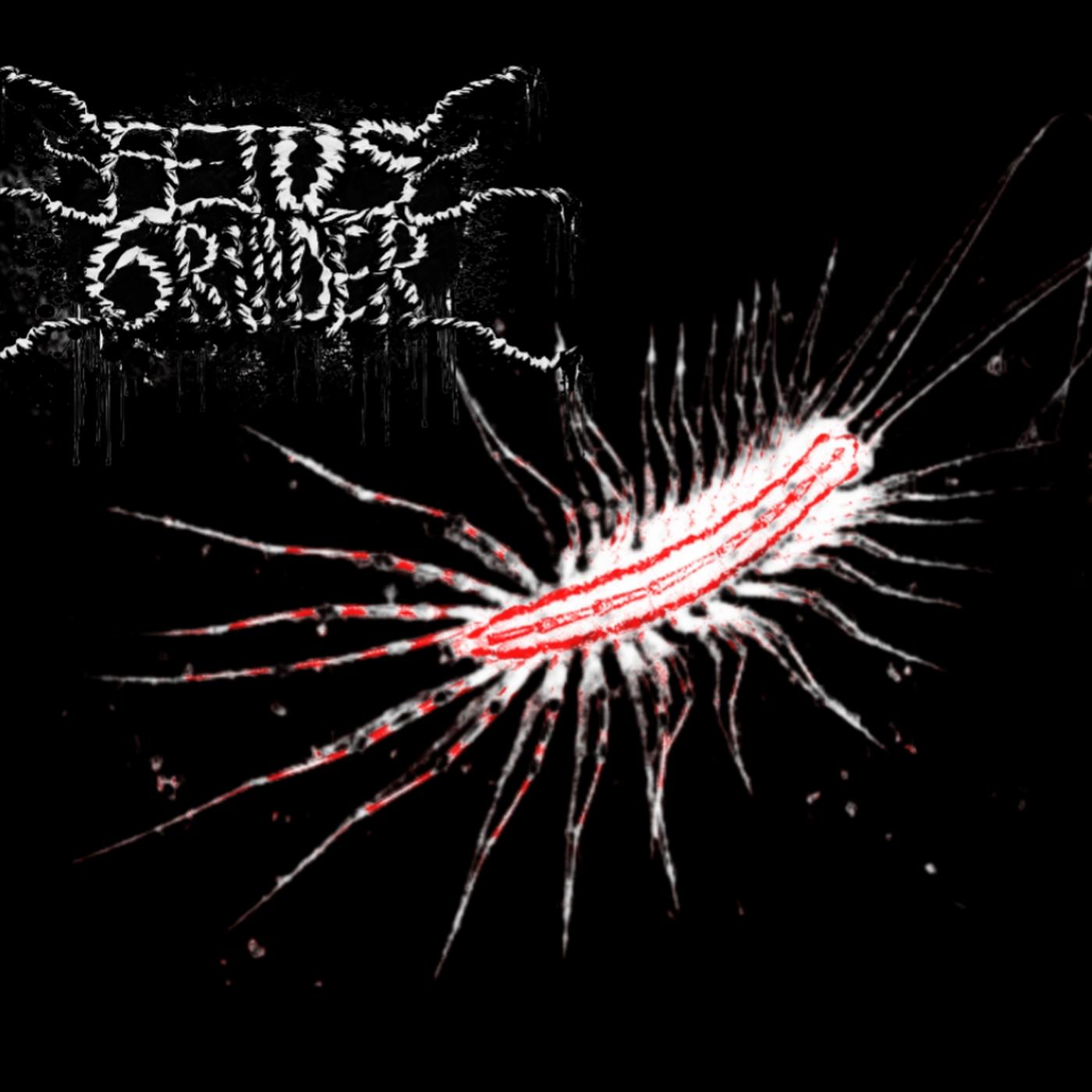 Fetus Grinder cover