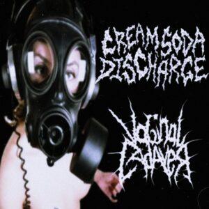 Vaginal Cadaver / CreamSodaDischarge - Pornogrindz Finests Flicks front cover