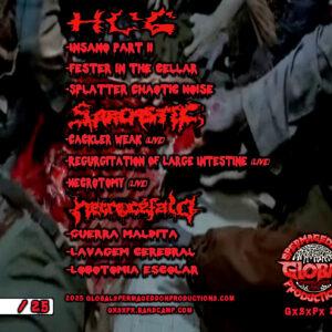 Carnage At The Feast Of The Deformed Undead by HCG / Sarcastic / Necrocefalo back cover