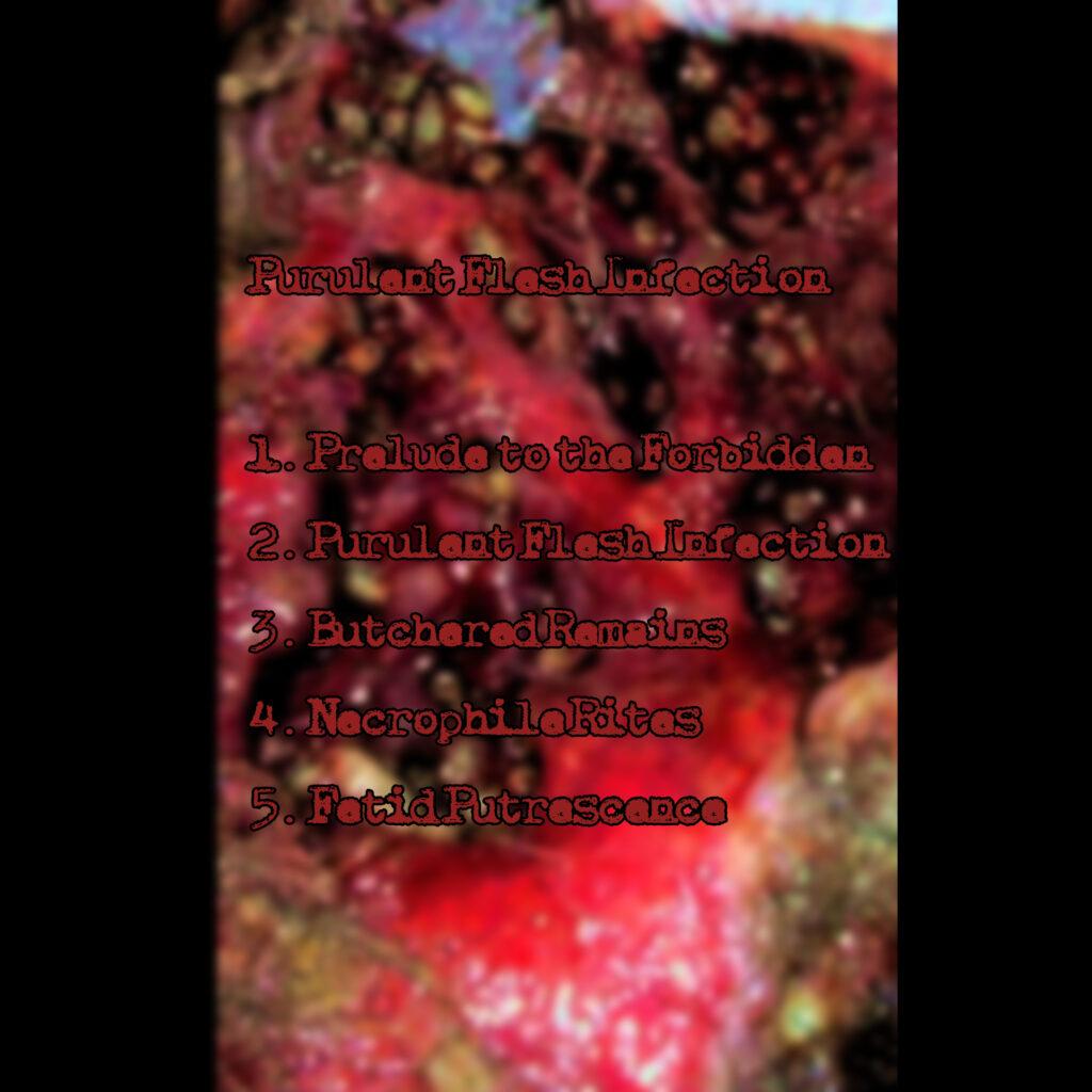 Pustulent – Purulent Flesh Infection back cover